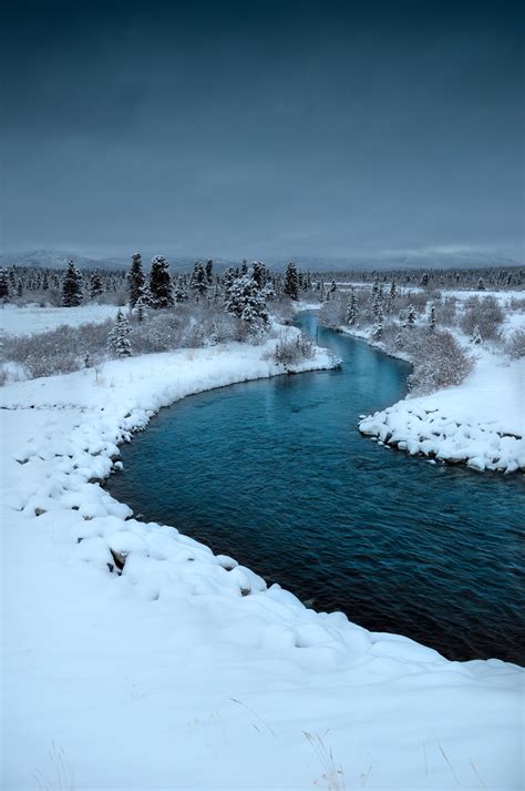 First winter snow, Yukon, Canada [OC][2848x4288] : r/EarthPorn