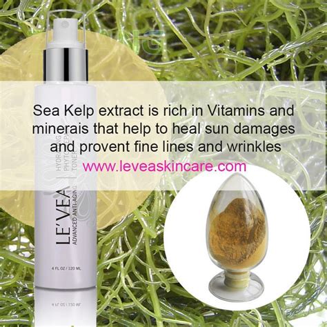 Ingredients of the day: Kelp Extract: contains rich in vitamins and minerals that help heal sun ...