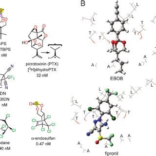 Proposed interactions of seven noncompetitive antagonists at the same ...