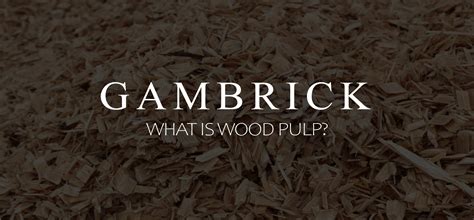 What Is Wood Pulp?