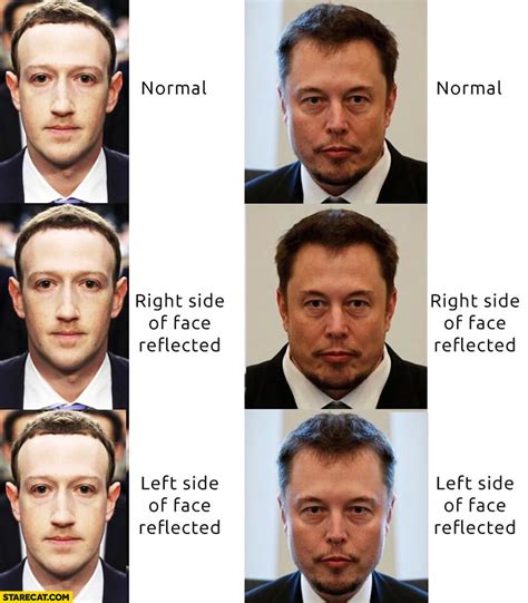 Mark Zuckerberg compared to Elon Musk: normal, right, left side of face ...