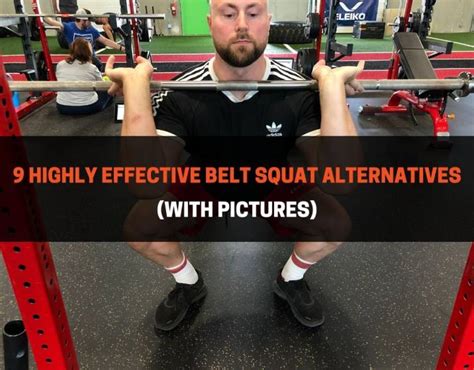 9 Belt Squat Alternatives From A National Coach | PowerliftingTechnique.com