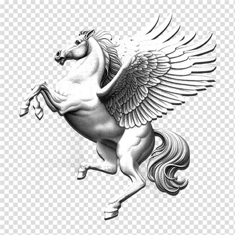 White pegasus , , Pegasus transparent background PNG clipart | HiClipart | Horse tattoo design ...