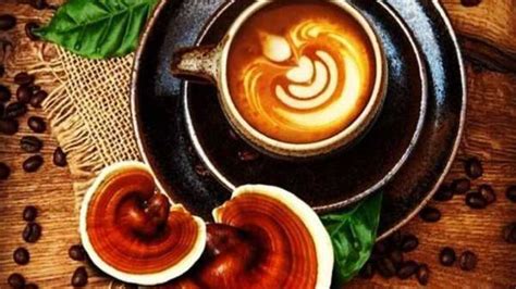 Ganoderma Coffee (Reishi Coffee) Reviews