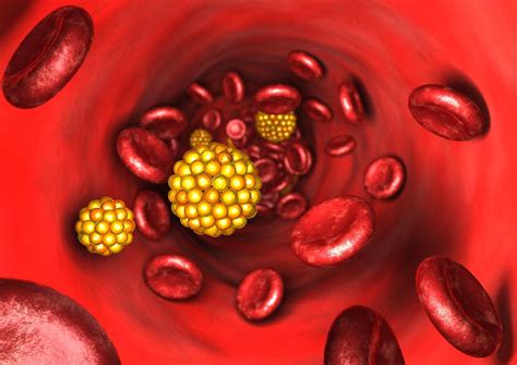 Function of Lipoproteins in the Body