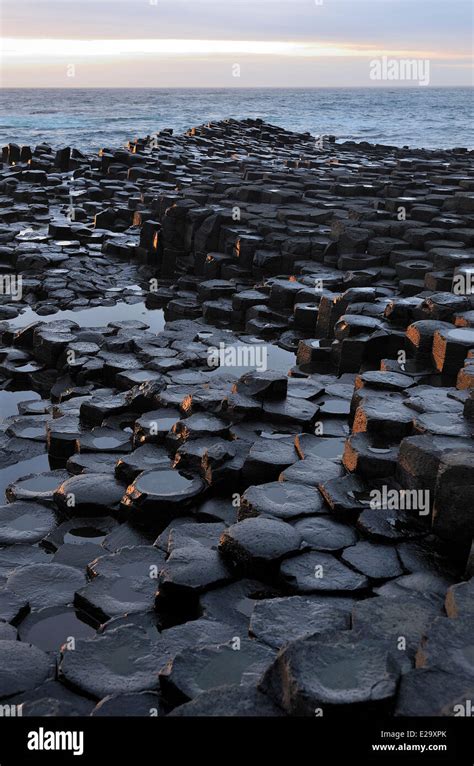 United Kingdom, Northern Ireland, County Antrim, Antrim coast, Giant's Causeway Legend has it ...