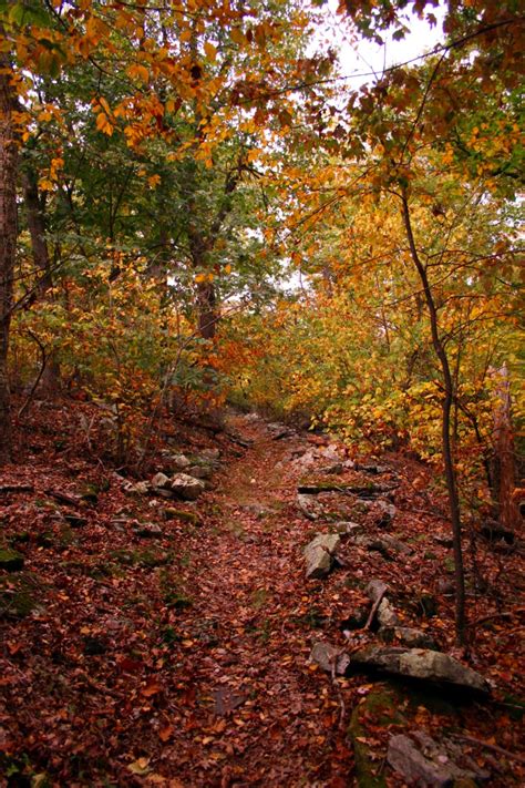 Rocks Path Fall Hiking Trail | Forest Foliage Autumn Fall Nature Pictures