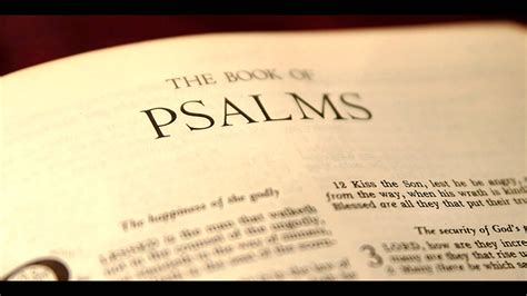 Dig Deeper: Psalm 1&2 Contrast