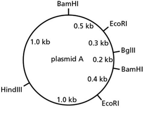 Plasmid Map | Gadgets 2018