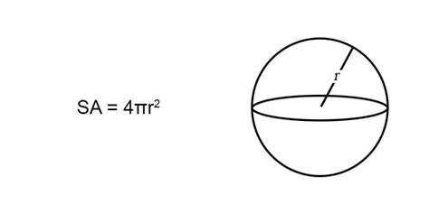 Surface Area of a Sphere (Formulas & Examples) | Free Lesson