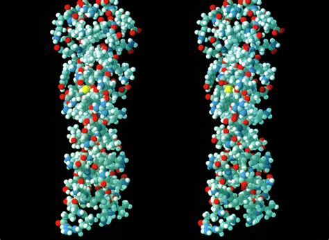 Introduction to protein science lesk pdf to jpg - neulasopa