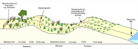 Locating or establishing transects • Coastal Monitoring Database