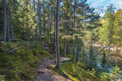 Vermilion Gorge Guided Hike — Voyageurs Conservancy