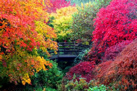 An Astonishing Autumn In England