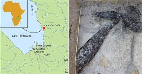 Scientists Have Found Evidence Of Structures That Pre-Date Homo Sapiens ...