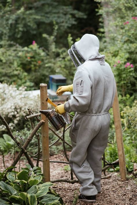 Beekeeper with equipment going in apiary · Free Stock Photo