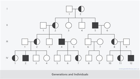 Pedigree Charts | Good Science