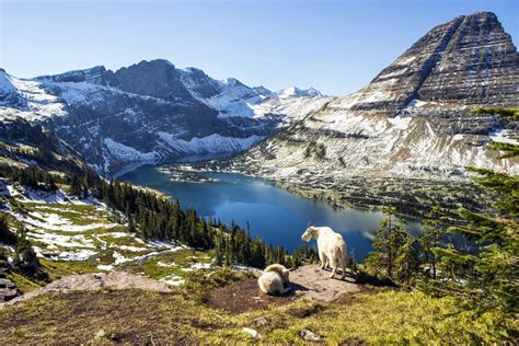 Glacier National Park, MT Losing Ice Fast - SnowBrains