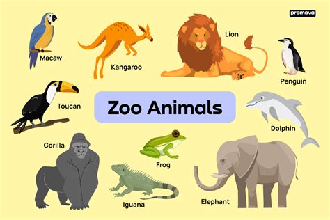 100 Most Common Zoo Animals List With Pictures Zoo An - vrogue.co