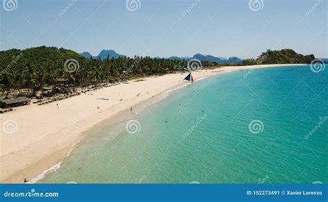 Drone View of Nacpan Beach, El Nido, Palawan, the Philippines Stock Image - Image of palm ...