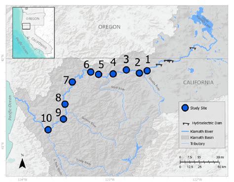 Ten river reach study locations on the Klamath River below Iron Gate ...