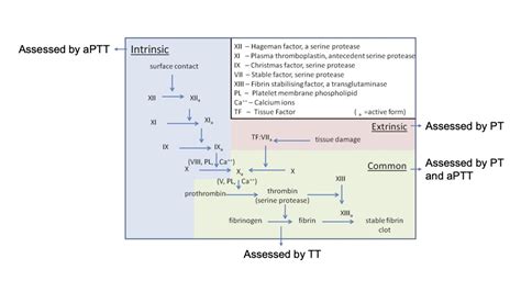 Traditional Tests of Coagulation and Fibrinolysis - OpenAnesthesia