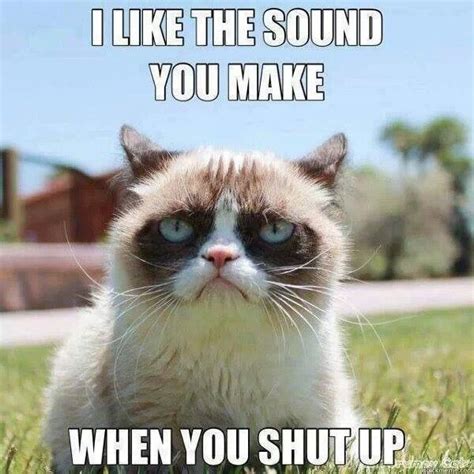 Grumpy Cat. I like the sound you make when you shut up | Grumpy cat humor, Grumpy cat quotes ...