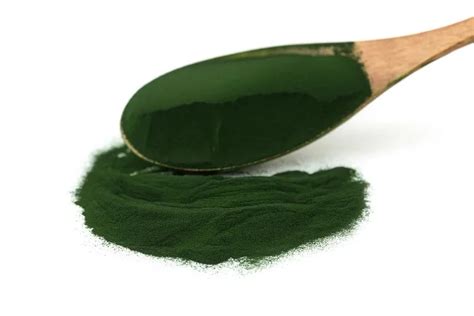 Organic Chlorella Powder Chlorella Vulgaris Powder - Buy Chlorella Powder,Chlorella Vulgaris ...