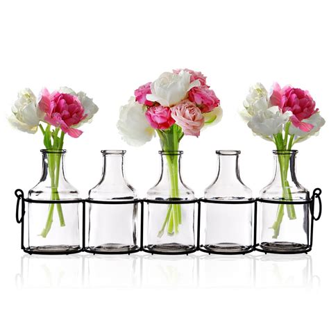 Buy Emenest Small Glass Bud Vases for Flowers in Black Metal Rack Stand, Window-Sill Display Set ...