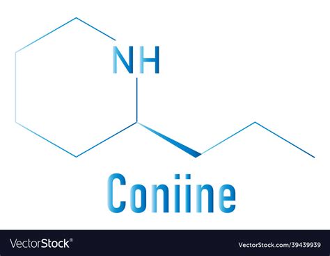 Coniine toxin molecule skeletal formula Royalty Free Vector