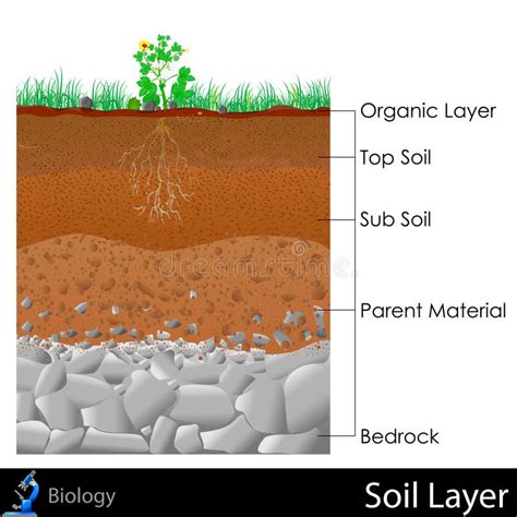 Layer of Soil. Easy to edit illustration of diagram for Layer of Soil , #SPONSORED, #Easy, #Soil ...