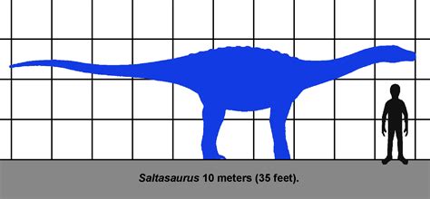 Saltasaurus