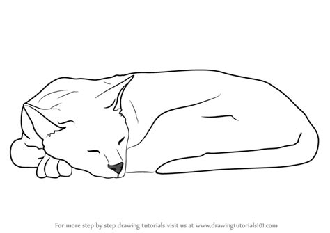 How to Draw a Sleeping Cat (Cats) Step by Step | DrawingTutorials101.com