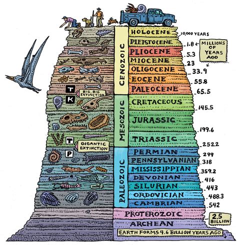 Geologic History - Regents Earth Science