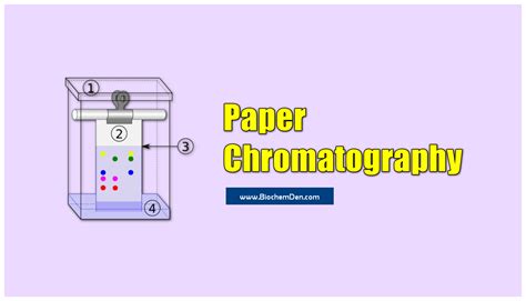 What is Paper Chromatography? Principle and Procedure