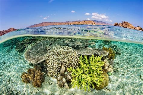 18 Best Places to Go Snorkeling in the World | PlanetWare