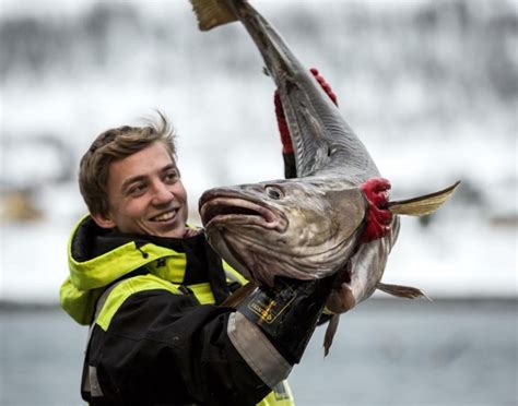 Norwegian Seafood - The Magic and The Myths [ Norwegian Seafood Appreciation Dinner arrives in ...