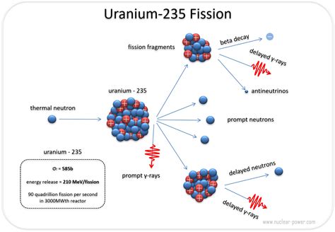 Uranium 235 Fission | Equation & Energy | nuclear-power.com