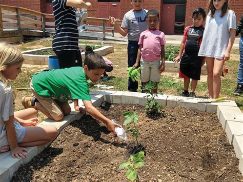 Hurley Elementary School recognized as Green School of Promise ...