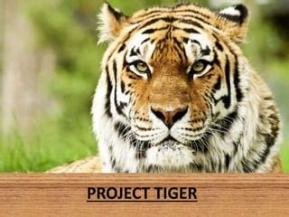 PROJECT TIGER ppt. | PPT