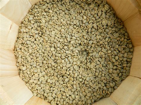 Jamaica Blue Mountain Coffee Beans Mavis Bank Gr 1 FW Arabica | Home ...