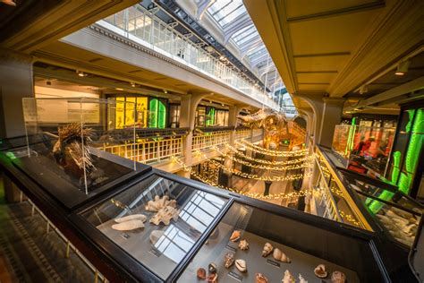 GALLERY | Sneak peek of £15m Manchester Museum revamp - Place North West