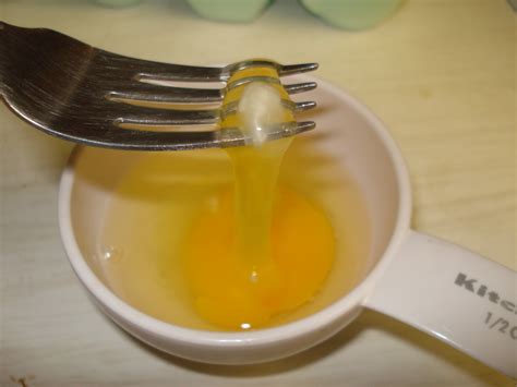 What are those white, stringy bits in my egg? (and what to do with them!) – Collegiate Cook