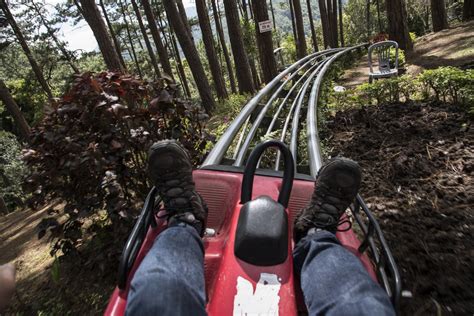 4 Mountain Coasters in Pigeon Forge and Gatlinburg You?ll Love – Grand Smokies Resort Lodge