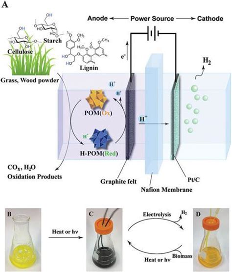 Harvesting hydrogen from tough biomass | Research | Chemistry World