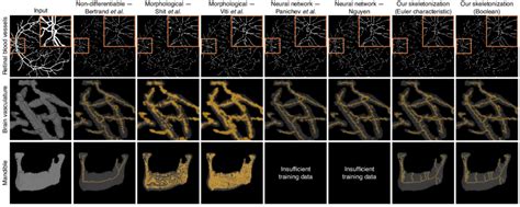 The results of applying the seven tested skeletonization algorithm to... | Download Scientific ...