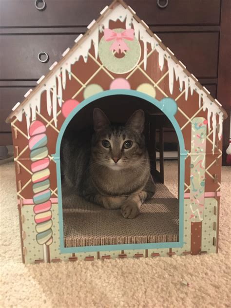 Unofficial Aldi cat house model : r/aldi