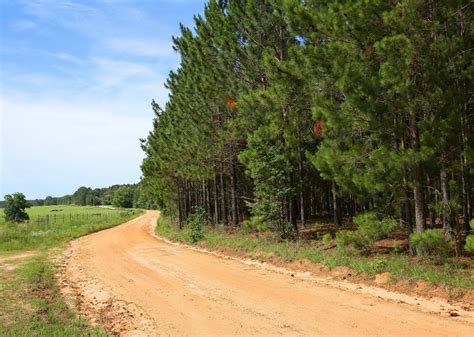 Warmest Decembers in Tattnall County, Georgia History | Stacker