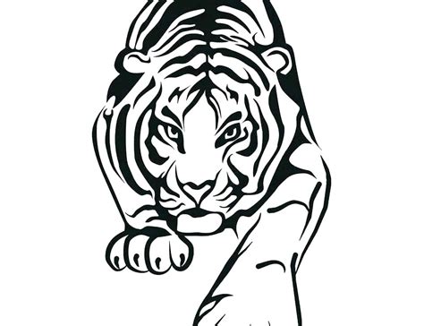 Baby White Tiger Coloring Pages at GetColorings.com | Free printable ...