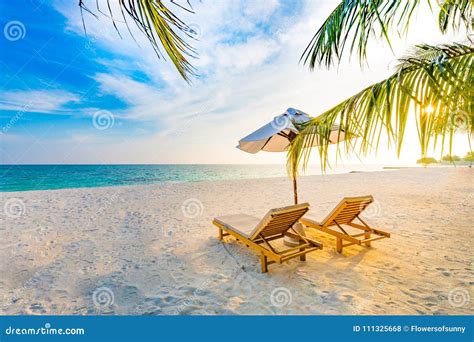 Summer Travel Destination Background. Summer Beach Scene, Sun Beds Sun Umbrella and Palm Trees ...